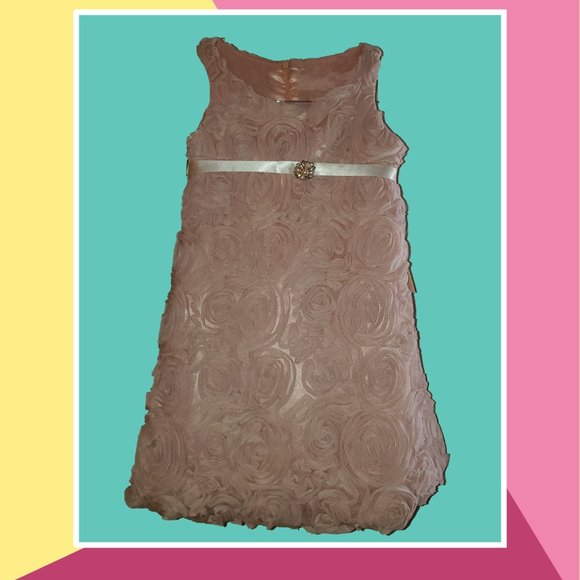Girl's Holiday Dress3 D Roses Toddler New Party